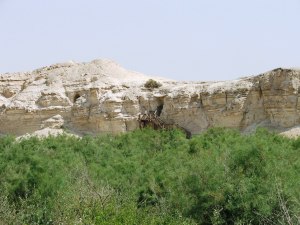 Σπήλαιο της Οσίας Μαρίας της Αιγυπτίας8-pestera-sf-maria-egipteanca2-pestera-sf-maria-egipteanca-pe-peretele-vertical-de-stanca-in-fata-valea-iodanului
